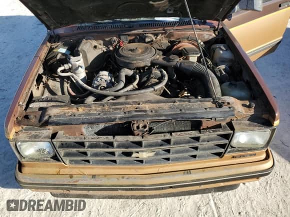 1988 Chevrolet Blazer с VIN 1GNCS18R1J0106286, выставлен на аукционе Copart как лот 76802554 с пробегом 190 360 миль миль и Списание • Salvage title. История ставок и продаж доступна на DreamBid. Изображение 12.