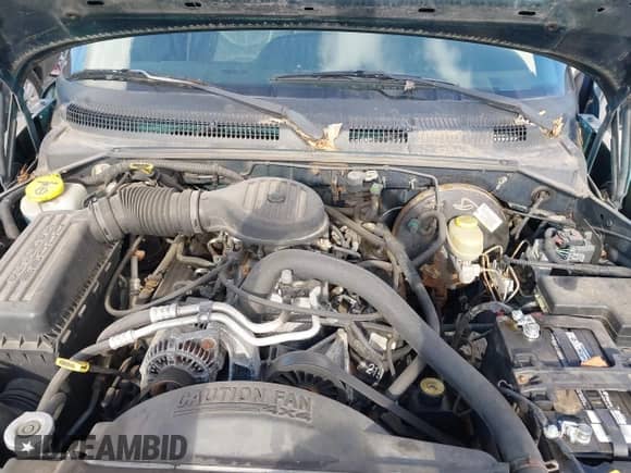 1998 Dodge Dakota SLT z VIN 1B7GG22YXWS640111, wystawiony jako IAAI lot #43563290 z przebiegiem 186 318 mil mil oraz . Historia ofert i sprzedaży dostępna na DreamBid. Obrazek 10.