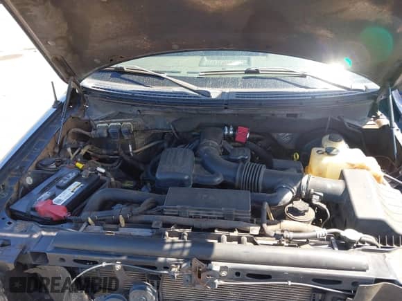 2009 Ford F-150 XL with VIN 1FTPW14V09FB09738, listed as a IAAI auction lot 43520582 with 240,868 mi miles and . Bid and sale history available at DreamBid. Image 10.