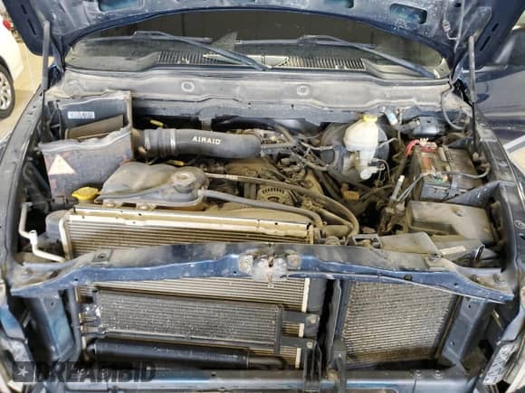2002 Dodge 1500 z VIN 1D7HU16N02J217079, wystawiony jako Copart lot #55025185 z przebiegiem 160 089 mil mil oraz Szkoda całkowita • Salvage title. Historia ofert i sprzedaży dostępna na DreamBid. Obrazek 11.