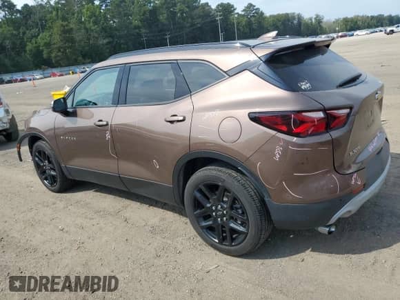2019 Chevrolet Blazer with VIN 3GNKBCRS7KS697050, listed as a Copart auction lot 80868865 with 22,688 mi miles and Salvage title. Bid and sale history available at DreamBid. Image 2.