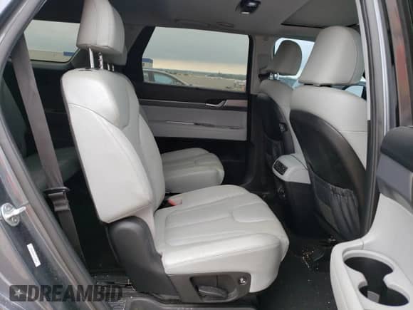 2020 Hyundai Palisade SEL с VIN KM8R4DHEXLU126300, выставлен на аукционе Copart как лот 66935554 с пробегом 96 257 миль миль и Списание • Salvage title. История ставок и продаж доступна на DreamBid. Изображение 11.