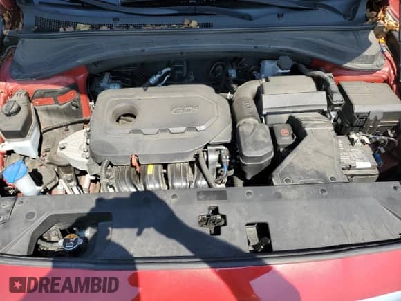 2019 Hyundai Santa Fe SE с VIN 5NMS2CAD5KH100247, выставлен на аукционе Copart как лот 81573075 с пробегом 48 329 миль миль и Списание • Salvage title. История ставок и продаж доступна на DreamBid. Изображение 12.