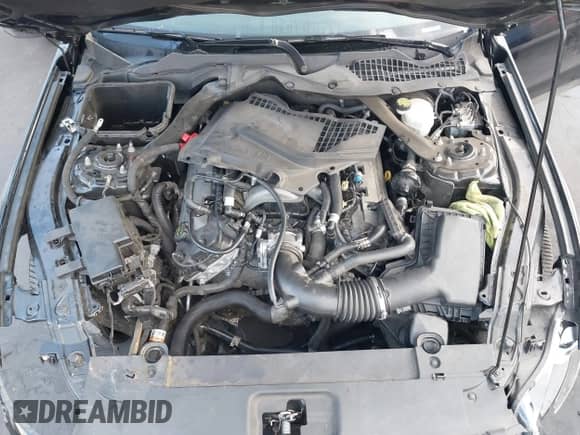 2017 Ford Mustang GT with VIN 1FA6P8CF2H5277824, listed as a IAAI auction lot 43189021 with 33,174 mi miles and . Bid and sale history available at DreamBid. Image 10.