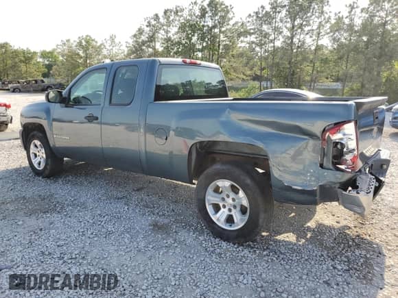 2008 Chevrolet Silverado 1500 Work Truck with VIN 1GCEC19X28Z148743, listed as a Copart auction lot 53061915 with 141,109 mi miles and Clean title. Bid and sale history available at DreamBid. Image 2.