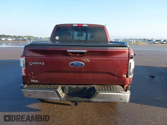 2015 Ford F-150 XLT with VIN 1FTEW1EG8FFA39974, listed as a IAAI auction lot 43266220 with 127,375 mi miles and . Bid and sale history available at DreamBid. Image 16.