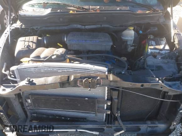 2002 Dodge 1500 с VIN 1D7HA16K42J261875, выставлен на аукционе IAAI как лот 43444450 с пробегом 205 412 миль миль и . История ставок и продаж доступна на DreamBid. Изображение 10.