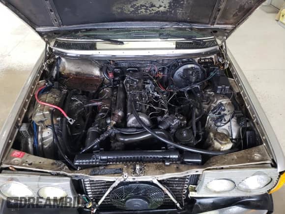 1985 Mercedes-Benz 300 с VIN WDBAB33C2FA244806, выставлен на аукционе Copart как лот 52752485 с пробегом Не указан миль и Чистый • Clean title. История ставок и продаж доступна на DreamBid. Изображение 11.