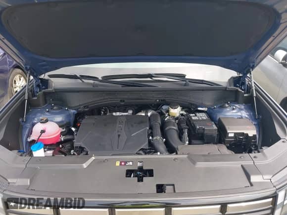 2025 Hyundai Santa Fe SEL with VIN 5NMP24GL4SH147828, listed as a IAAI auction lot 42657698 with 234 mi miles and . Bid and sale history available at DreamBid. Image 10.