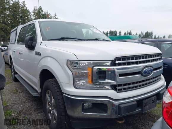 2018 Ford F-150 XL z VIN 1FTEW1EP3JKD35971, wystawiony jako IAAI lot #43442992 z przebiegiem 219 901 mil mil oraz . Historia ofert i sprzedaży dostępna na DreamBid. Obrazek 1.