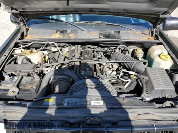 1998 Jeep Grand Cherokee Limited z VIN 1J4GZ78S0WC113869, wystawiony jako Copart lot #57723765 z przebiegiem 114 309 mil mil oraz Czysty tytuł • Clean title. Historia ofert i sprzedaży dostępna na DreamBid. Obrazek 12.