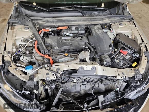 2019 Honda Accord EX-L with VIN 1HGCV3F53KA012998, listed as a Copart auction lot 66170245 with 54,040 mi miles and Salvage title. Bid and sale history available at DreamBid. Image 11.