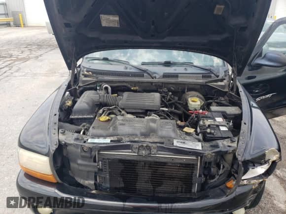 2000 Dodge Dakota with VIN 1B7FL26N7YS696341, listed as a Copart auction lot 58858175 with 181,457 mi miles and Salvage title. Bid and sale history available at DreamBid. Image 11.