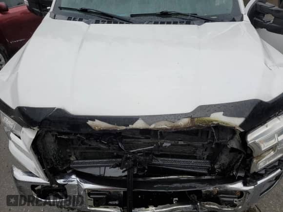 2017 Ford F-150 XLT with VIN 1FTFW1EF5HFB26519, listed as a Copart auction lot 82753675 with 134,315 mi miles and Salvage title. Bid and sale history available at DreamBid. Image 11.