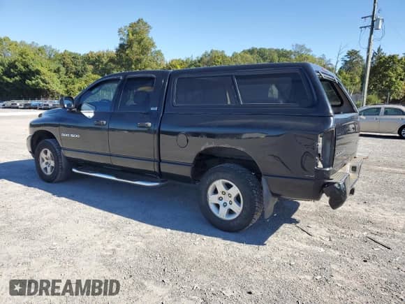 2002 Dodge 1500 z VIN 1D7HU18Z72J217760, wystawiony jako Copart lot #84925775 z przebiegiem 114 510 mil mil oraz Szkoda całkowita • Salvage title. Historia ofert i sprzedaży dostępna na DreamBid. Obrazek 2.