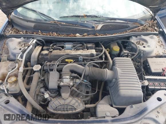 2004 Dodge Stratus SE with VIN 1B3EL36X14N159848, listed as a IAAI auction lot 43323222 with Not provided miles and . Bid and sale history available at DreamBid. Image 10.