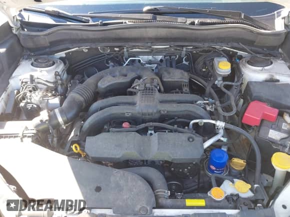 2016 Subaru Forester Touring with VIN JF2SJAXC4GH537026, listed as a IAAI auction lot 43501461 with 66,452 mi miles and . Bid and sale history available at DreamBid. Image 10.