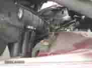 2001 Honda Accord EX with VIN 1HGCG16511A000135, listed as a IAAI auction lot 43187901 with 120,305 mi miles and . Bid and sale history available at DreamBid. Image 10.