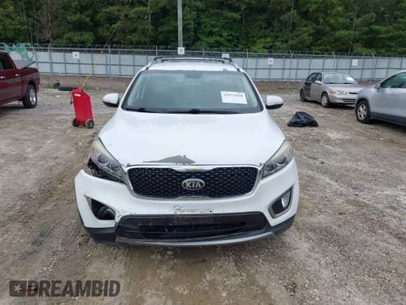 2016 Kia Sorento EX with VIN 5XYPH4A59GG100062, listed as a IAAI auction lot 42973658 with 148,765 mi miles and . Bid and sale history available at DreamBid. Image 12.