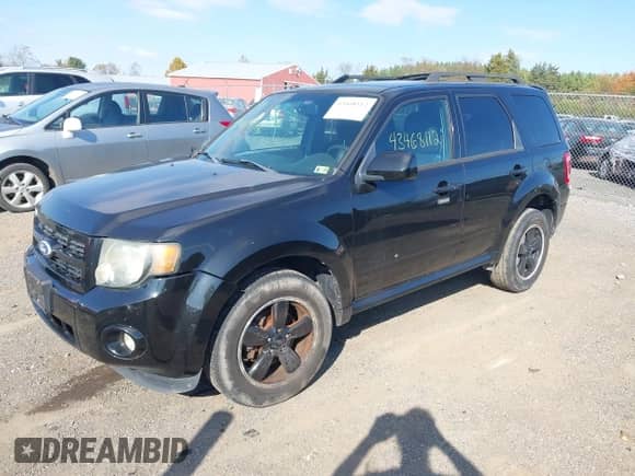 2011 Ford Escape XLT с VIN 1FMCU9DG7BKA66416, выставлен на аукционе IAAI как лот 43468112 с пробегом 197 987 миль миль и . История ставок и продаж доступна на DreamBid. Изображение 2.