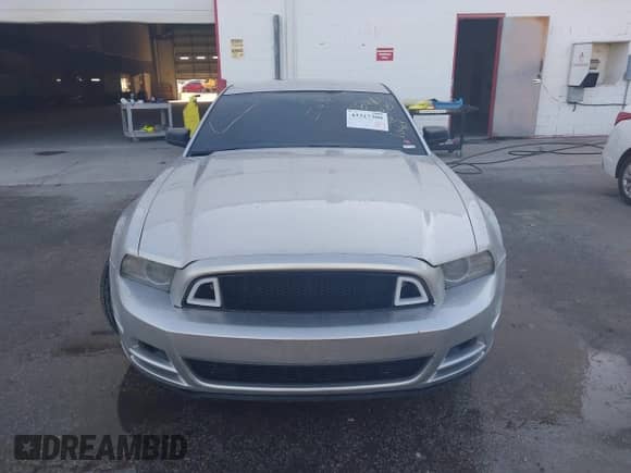 2014 Ford Mustang V6 с VIN 1ZVBP8AM0E5281440, выставлен на аукционе IAAI как лот 43317300 с пробегом 97 753 миль миль и . История ставок и продаж доступна на DreamBid. Изображение 12.