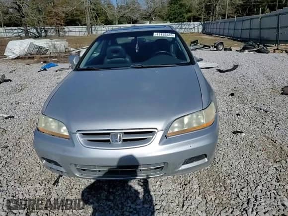 2001 Honda Accord EX with VIN 1HGCG32531A024065, listed as a Copart auction lot 41493535 with 233,650 mi miles and Salvage title. Bid and sale history available at DreamBid. Image 11.