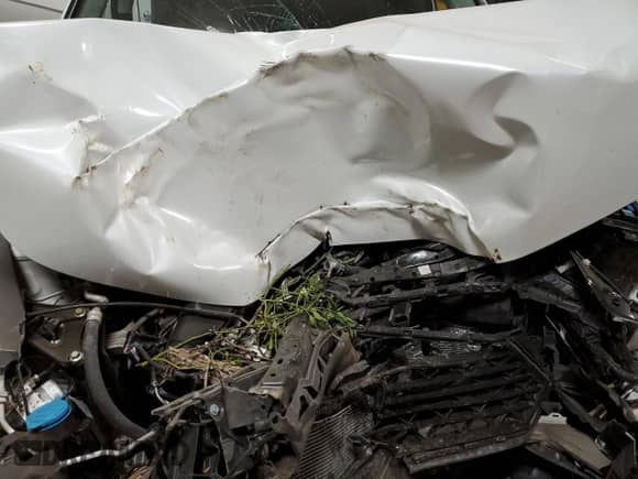 2024 Honda Accord EX with VIN 1HGCY1F3XRA036235, listed as a Copart auction lot 42360565 with Not provided miles and Salvage title. Bid and sale history available at DreamBid. Image 12.