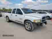 2002 Dodge 1500 z VIN 1D7HA18N62S608446, wystawiony jako Copart lot #85928505 z przebiegiem 301 526 mil mil oraz Szkoda całkowita • Salvage title. Historia ofert i sprzedaży dostępna na DreamBid. Obrazek 4.