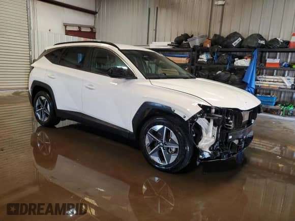 2025 Hyundai Tucson SEL with VIN 5NMJB3DE5SH494929, listed as a Copart auction lot 87114445 with 25,463 mi miles and Clean title. Bid and sale history available at DreamBid. Image 4.