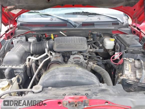 2005 Dodge Dakota ST with VIN 1D7HW22K85S271692, listed as a IAAI auction lot 42666693 with Not provided miles and . Bid and sale history available at DreamBid. Image 10.