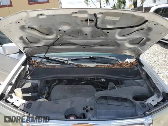 2011 Honda Pilot EX with VIN 5FNYF3H42BB043768, listed as a Copart auction lot 71052615 with 282,946 mi miles and Clean title. Bid and sale history available at DreamBid. Image 12.