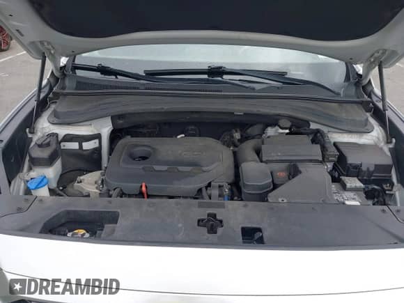 2019 Hyundai Santa Fe SEL with VIN 5NMS3CAD3KH119747, listed as a IAAI auction lot 42770505 with 122,041 mi miles and . Bid and sale history available at DreamBid. Image 10.