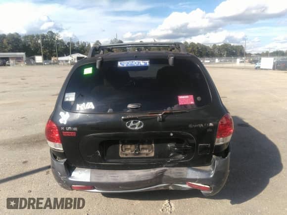 2005 Hyundai Santa Fe GLS with VIN KM8SC13D45U919600, listed as a IAAI auction lot 43293108 with 169,266 mi miles and . Bid and sale history available at DreamBid. Image 16.