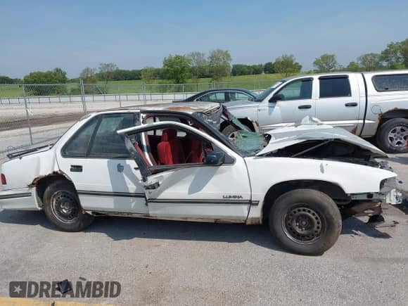 1993 Chevrolet Lumina z VIN 2G1WL54T9P1145239, wystawiony jako IAAI lot #42925111 z przebiegiem 228 767 mil mil oraz . Historia ofert i sprzedaży dostępna na DreamBid. Obrazek 17.