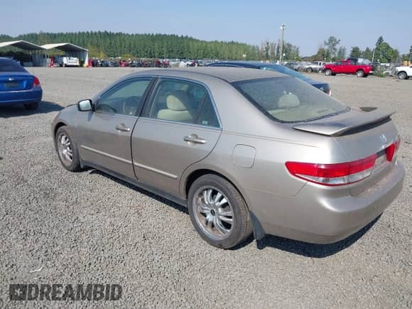 2003 Honda Accord LX with VIN JHMCM56363C019041, listed as a IAAI auction lot 43259828 with Not provided miles and . Bid and sale history available at DreamBid. Image 3.