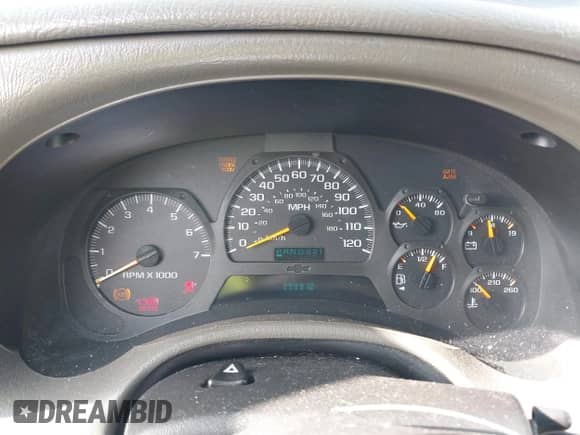 2002 Chevrolet TrailBlazer LS with VIN 1GNDS13S222526028, listed as a IAAI auction lot 42482427 with 299,910 mi miles and . Bid and sale history available at DreamBid. Image 7.