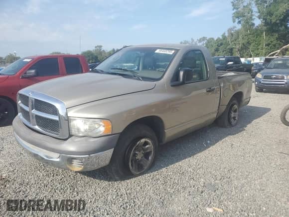 2002 Dodge 1500 z VIN 1D7HA16K32J235204, wystawiony jako Copart lot #68419325 z przebiegiem 163 817 mil mil oraz Nie do naprawy • Non repairable. Historia ofert i sprzedaży dostępna na DreamBid. Obrazek 1.