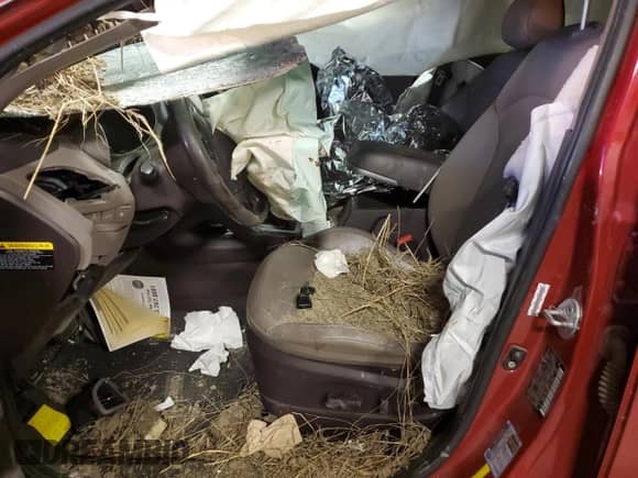 2014 Hyundai Tucson Walking Dead Edition z VIN KM8JUCAG0EU815736, wystawiony jako Copart lot #81373953 z przebiegiem Nie podano mil oraz Szkoda całkowita • Salvage title. Historia ofert i sprzedaży dostępna na DreamBid. Obrazek 7.