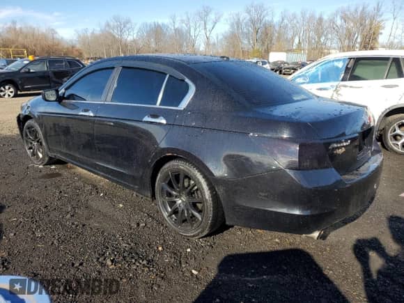 2009 Honda Accord EX-L with VIN 5KBCP36859B501067, listed as a Copart auction lot 80668554 with 159,910 mi miles and Salvage title. Bid and sale history available at DreamBid. Image 2.