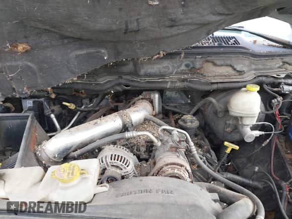 2006 Dodge 1500 SLT с VIN 1D7HU16216J166767, выставлен на аукционе IAAI как лот 43535728 с пробегом Не указан миль и . История ставок и продаж доступна на DreamBid. Изображение 10.