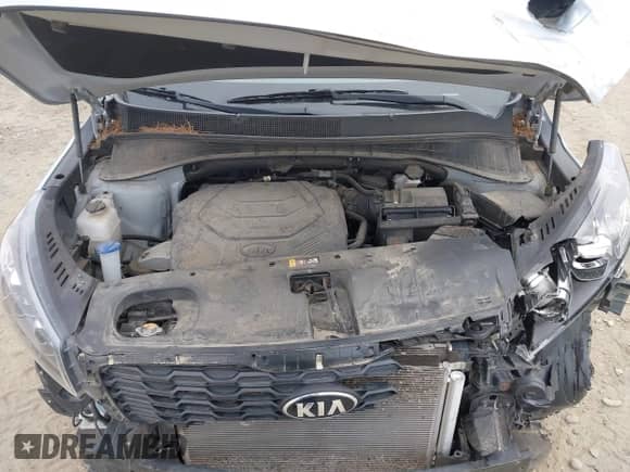 2019 Kia Sorento LX with VIN 5XYPGDA57KG497105, listed as a IAAI auction lot 43064147 with 72,329 mi miles and . Bid and sale history available at DreamBid. Image 10.