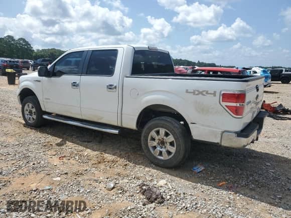 2012 Ford F-150 XL with VIN 1FTFW1ET2CFB91326, listed as a Copart auction lot 64318435 with 207,876 mi miles and Salvage title. Bid and sale history available at DreamBid. Image 2.