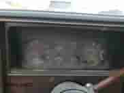 1985 Chevrolet El Camino с VIN 3GCCW80H9FS915947, выставлен на аукционе Copart как лот 84659344 с пробегом 38 549 миль миль и Списание • Salvage title. История ставок и продаж доступна на DreamBid. Изображение 9.