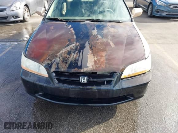 2002 Honda Accord SE with VIN 1HGCG66882A006393, listed as a IAAI auction lot 43458349 with 307,701 mi miles and . Bid and sale history available at DreamBid. Image 6.