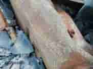 2010 Dodge Grand Caravan SXT с VIN 2D4RN5D17AR409597, выставлен на аукционе Copart как лот 54743715 с пробегом Не указан миль и Списание • Salvage title. История ставок и продаж доступна на DreamBid. Изображение 12.