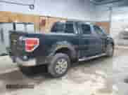 2010 Ford F-150 XL with VIN 1FTFW1EV4AKB56874, listed as a Copart auction lot 81451505 with 217,915 mi miles and Clean title. Bid and sale history available at DreamBid. Image 3.