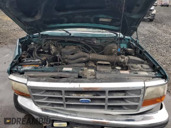 1996 Ford F-150 with VIN 1FTEF15N6TLB11640, listed as a Copart auction lot 84915255 with 218,884 mi miles and Salvage title. Bid and sale history available at DreamBid. Image 11.