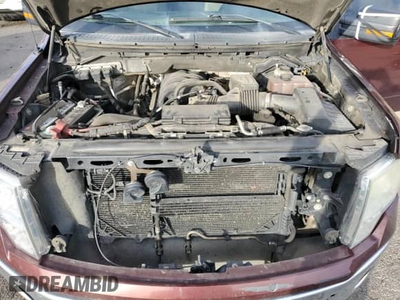 2010 Ford F-150 XL z VIN 1FTEX1E89AFA98028, wystawiony jako Copart lot #89929915 z przebiegiem 244 127 mil mil oraz Czysty tytuł • Clean title. Historia ofert i sprzedaży dostępna na DreamBid. Obrazek 11.