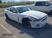 2014 Ford Mustang Premium with VIN 1ZVBP8AM7E5259273, listed as a IAAI auction lot 43142606 with 51,527 mi miles and . Bid and sale history available at DreamBid. Image 1.