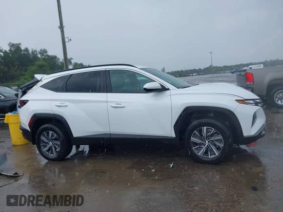 2024 Hyundai Tucson Blue with VIN KM8JBCD15RU194397, listed as a IAAI auction lot 43104054 with 19,814 mi miles and . Bid and sale history available at DreamBid. Image 13.